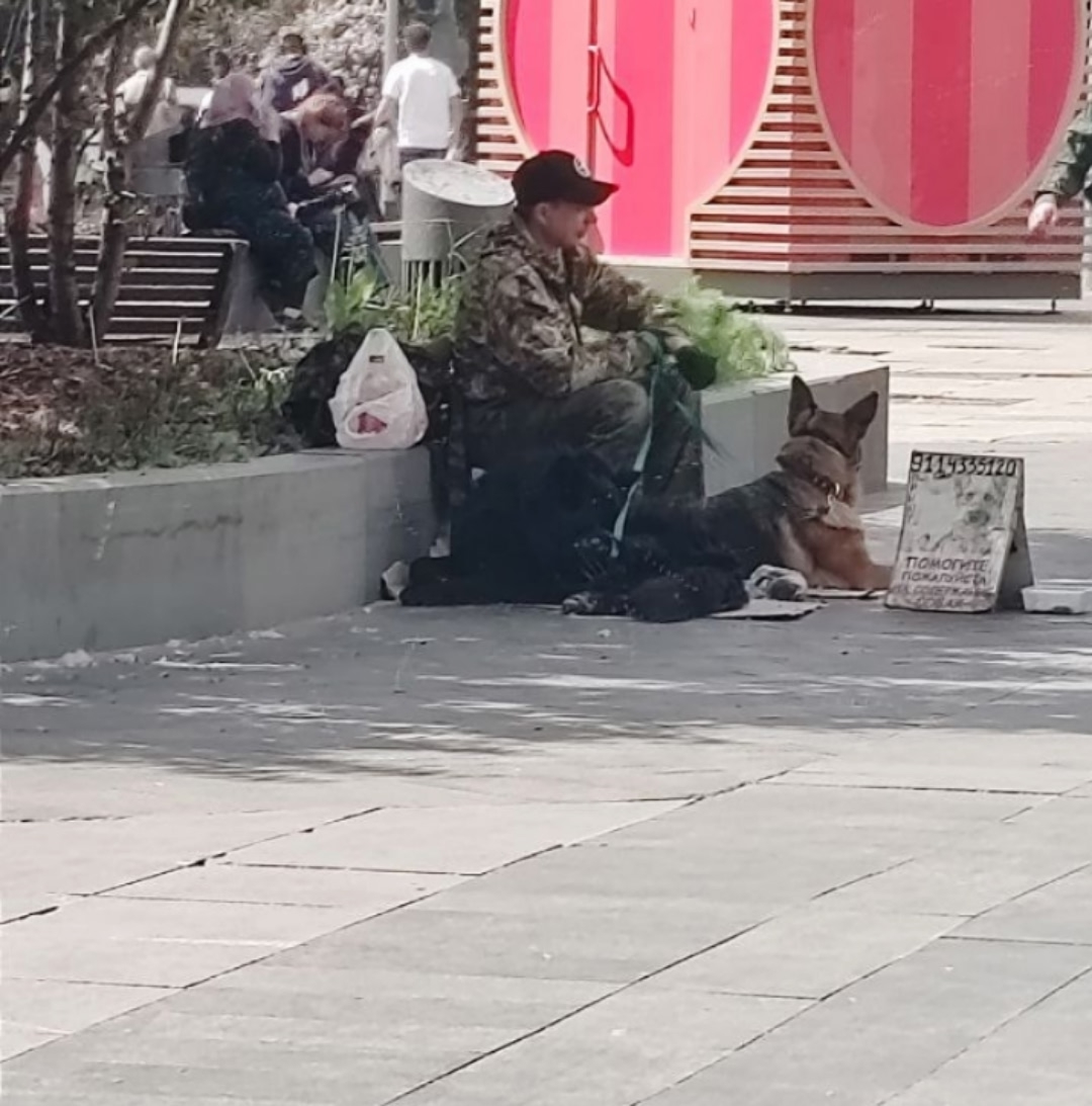 Найдена собака в Калинковичах — Москва