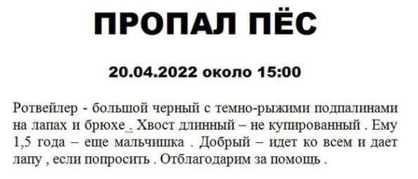 Пропала собака в Молодечно — Молодечненский район, д. Красное