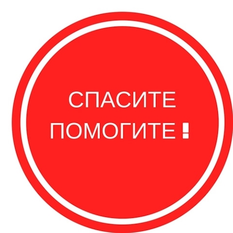 Найдена собака в Лиде — НУЖНА ПОМОЩЬ! Новосветловка!