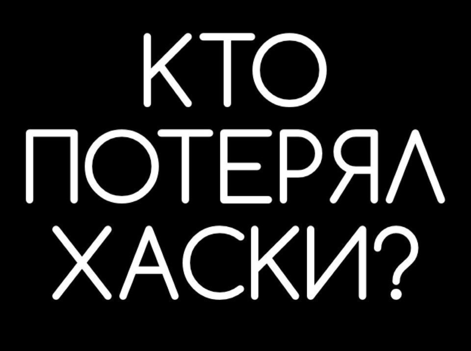 Найдена собака в Лиде — ЗАМЕЧЕНА ХАСКИ В ШЛЕЙКЕ В РАЙОНЕ БУРЕВЕСТНИКА! ❗❗❗