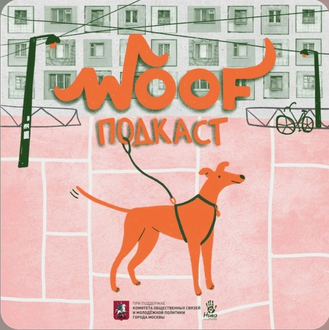 Найдена собака в Лиде — Мы к вам с полезными рекомендациями! 🤩
