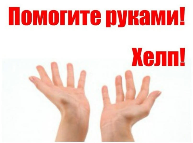 Найдена собака в Лиде — Информация от https://m.vk.ru/id581775104