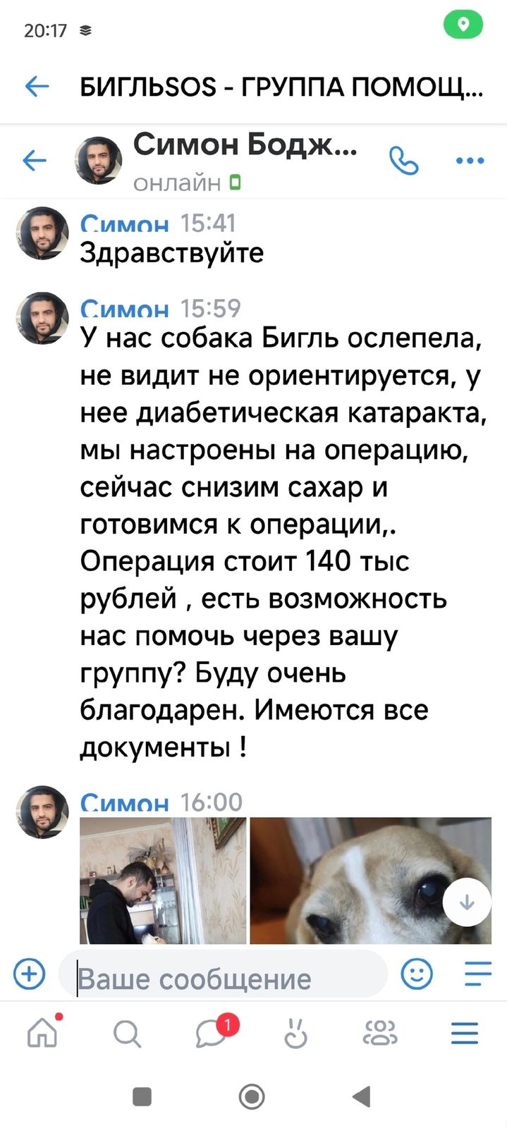 Найдена собака в Слониме — хозяевам собаки нужна финансовая помощь🆘