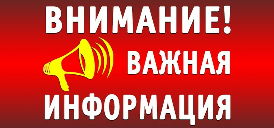 Найдена собака в Слониме — ВАЖНО‼