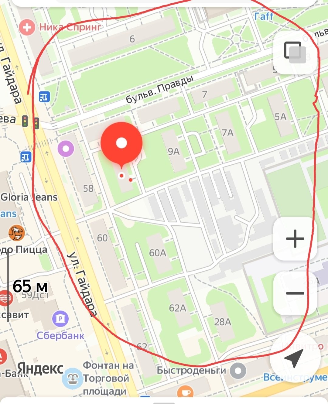 Найдена кошка в Дзержинске — Три дня назад,пропала домашняя любимица в районе б.Правды(отмечено кругом),может и дальше страх…