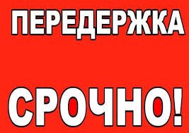 Найдена кошка в Орше — СРОЧНО!! ИЩЕМ ПЕРЕДЕРЖКУ ДЛЯ МОЛОДОГО КОТИКА.