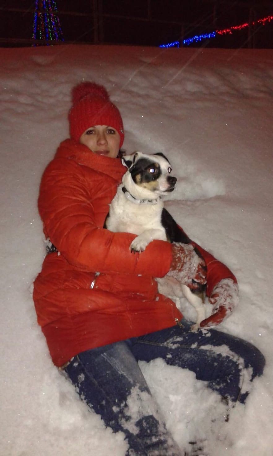 Пропала собака в Орше — Помогите потерялась собака Лариновка отзывается на Дик звоните по телефону +375336392678 вознаграждение