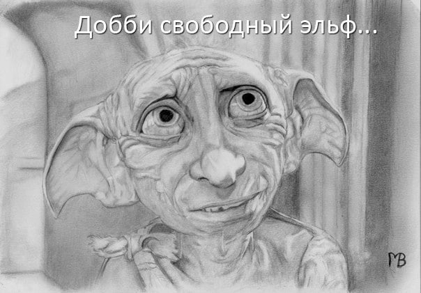 Найдена кошка в Горках — Вы знаете, кто такой волонтер? Это человек, которому никто не платит за то, чем он занимается. Он…