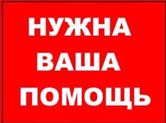 Найдена кошка в Смолевичах — Друзья и все все все ! 🆘🆘Очень нужна помощь! Был подобран 2-х месячный котенок. Сейчас он находится…