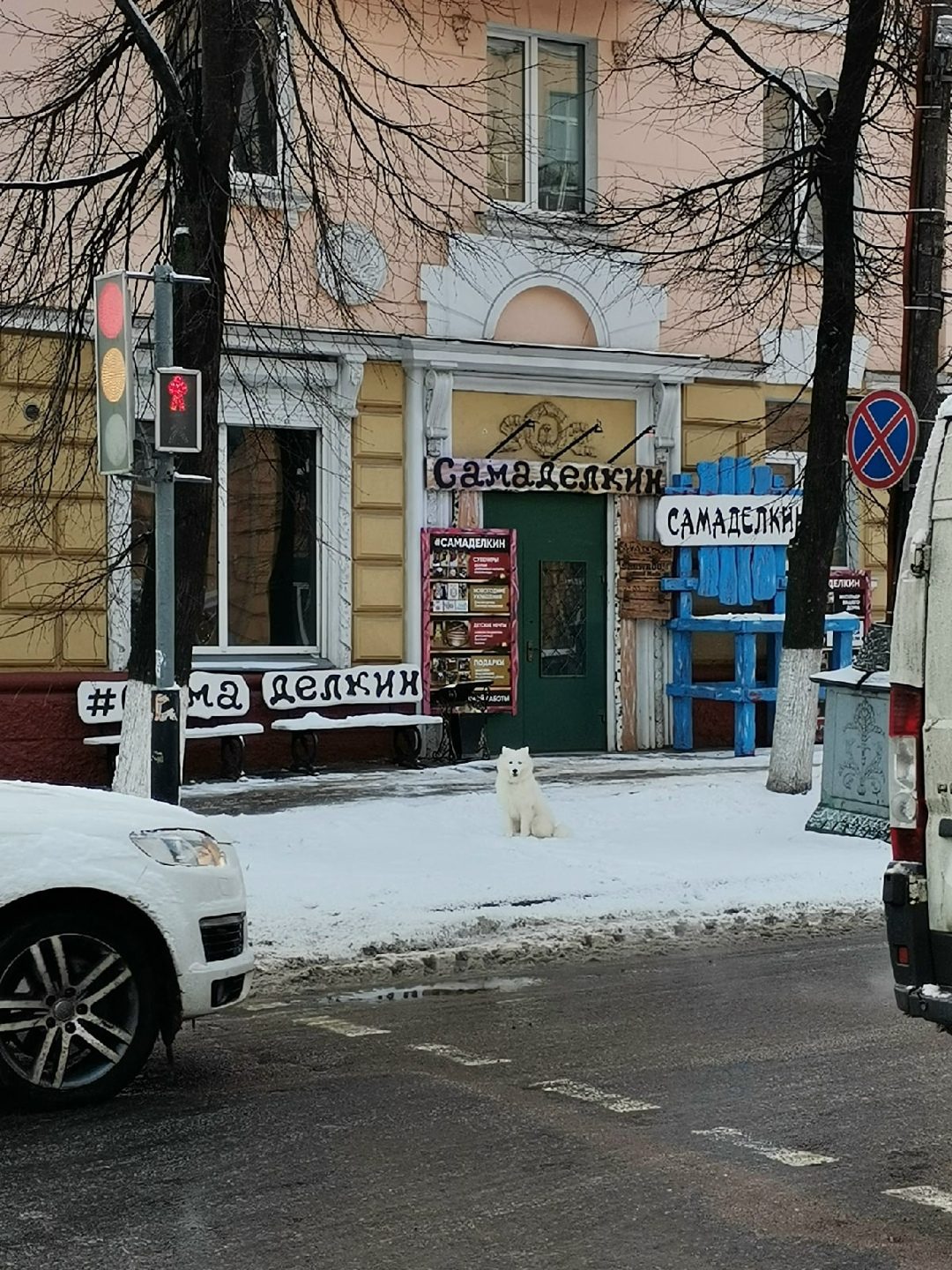Пропала собака в Гомеле — В 10.35 на пересечении Красноармейской и проспекта Ленина бегала домашняя собака. По поведению видно…