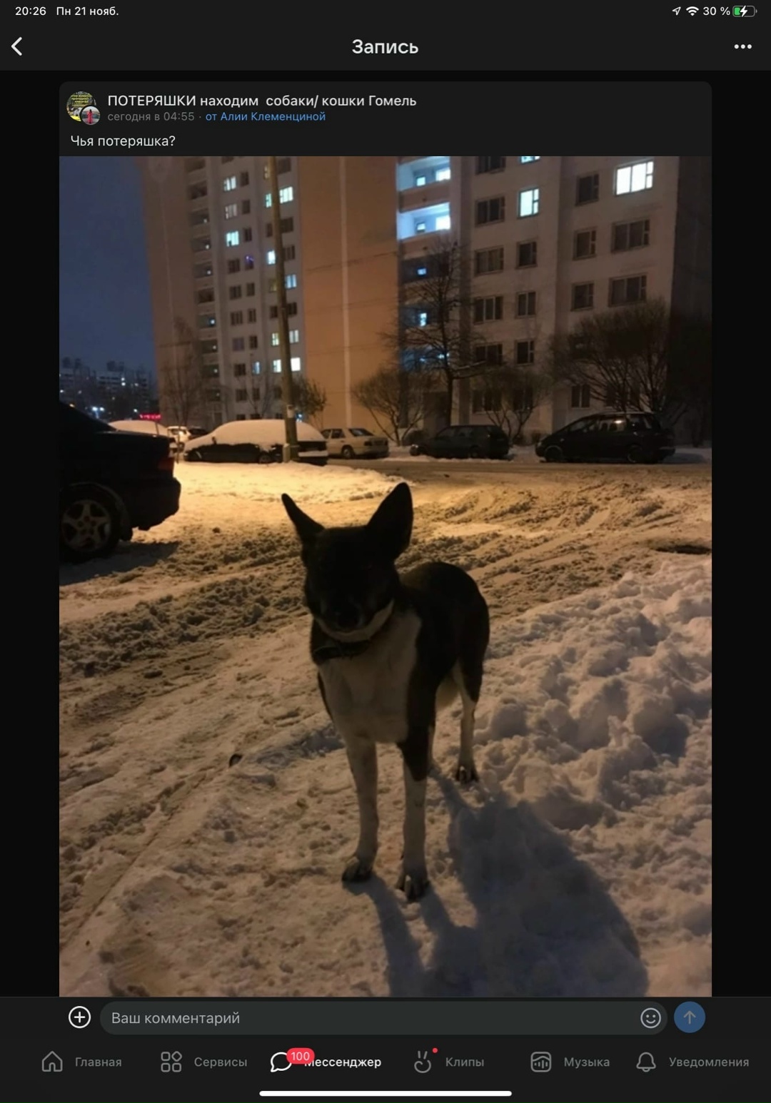 Найдена собака в Гомеле — Всем добрый вечер! Недавно был пост в другой группе потеряшек , что видели собачку (первое фото)…