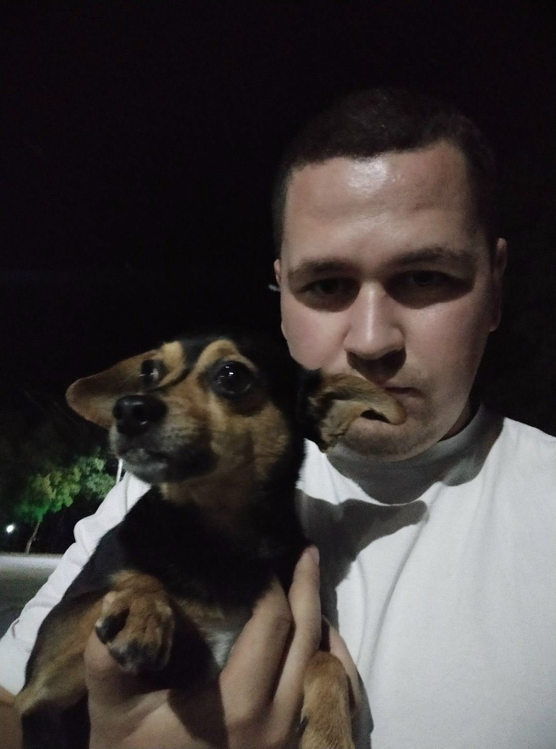Найдена собака в Гомеле — фото объявления