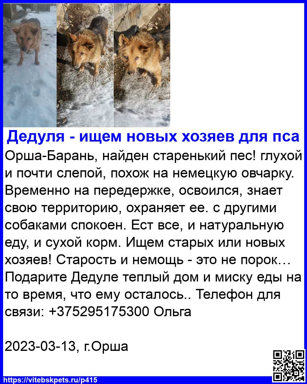 Найдена собака в Витебске — Орша-Барань, найден старенький пес! глухой и почти слепой, похож на немецкую овчарку. Временно на…