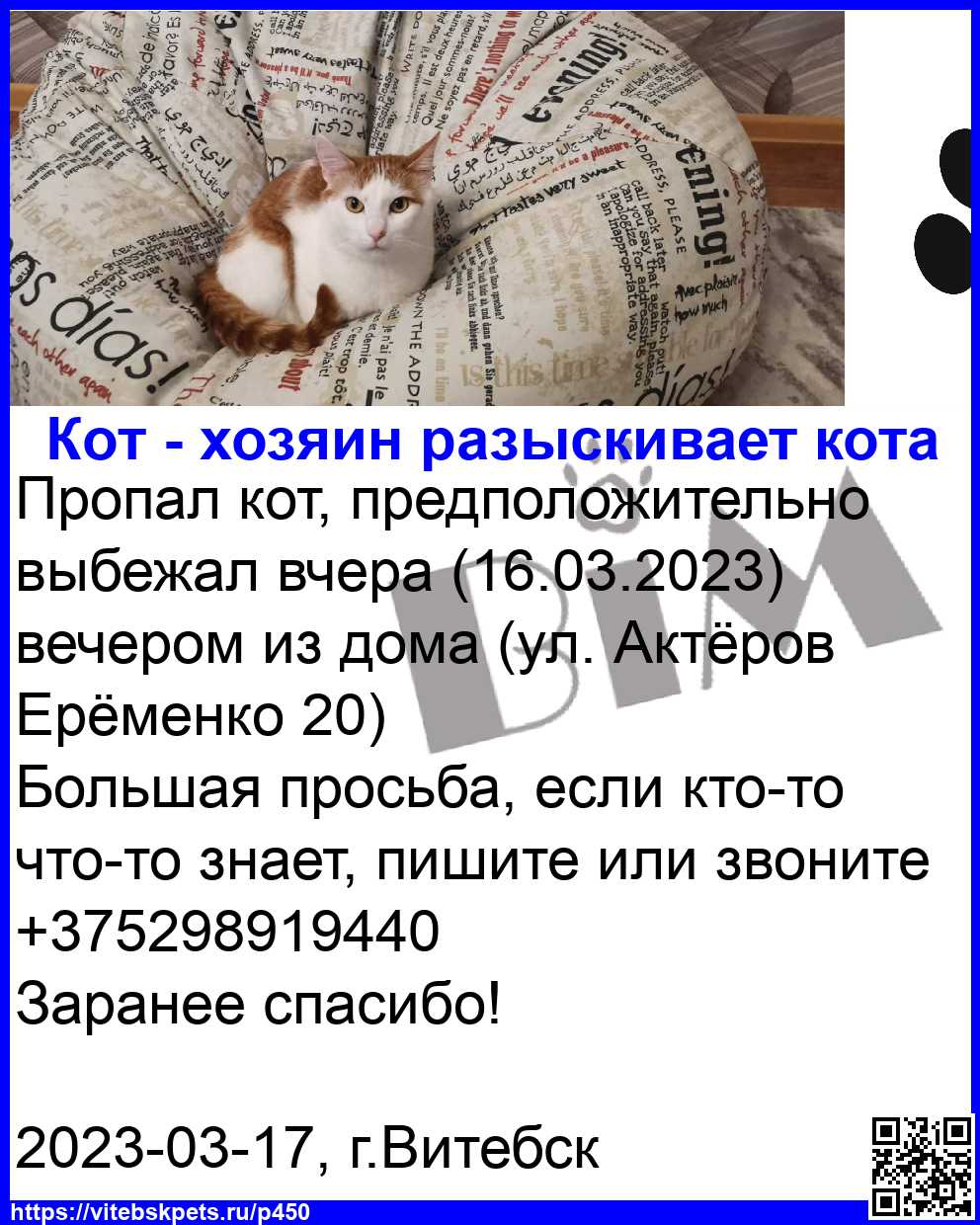 Пропала кошка в Витебске — фото объявления