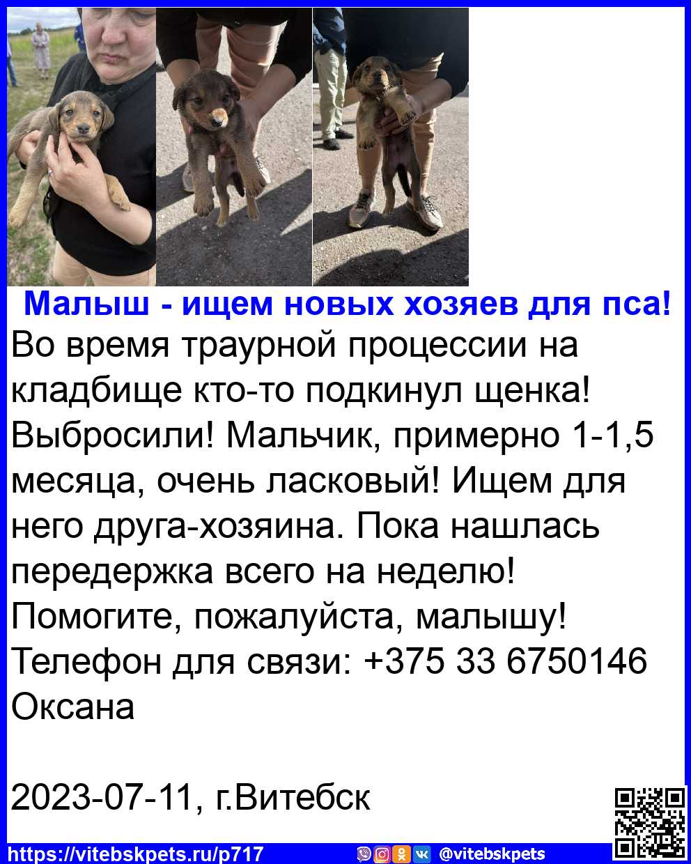 Найдена собака в Витебске — Во время траурной процессии на кладбище кто-то подкинул щенка! Выбросили! Мальчик, примерно 1-1,5…