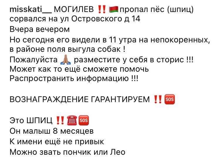 Пропала собака в Могилёве — МОГИЛЁВ ‼️‼️‼️ ПРОПАЛ ШПИЦ ТОЛЬКО ЧТО, сорвался с поводка и убежал (В РАЙОНЕ ОСТРОВСКОГО 14 и…
