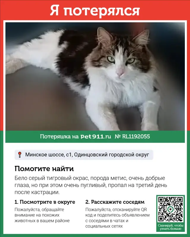 Пропала кошка в Марьиной Горке — фото объявления