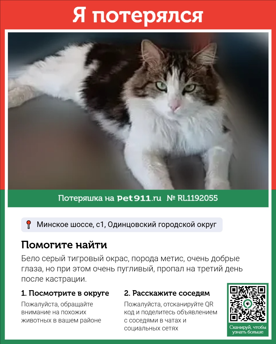 Пропала кошка в Марьиной Горке — фото объявления