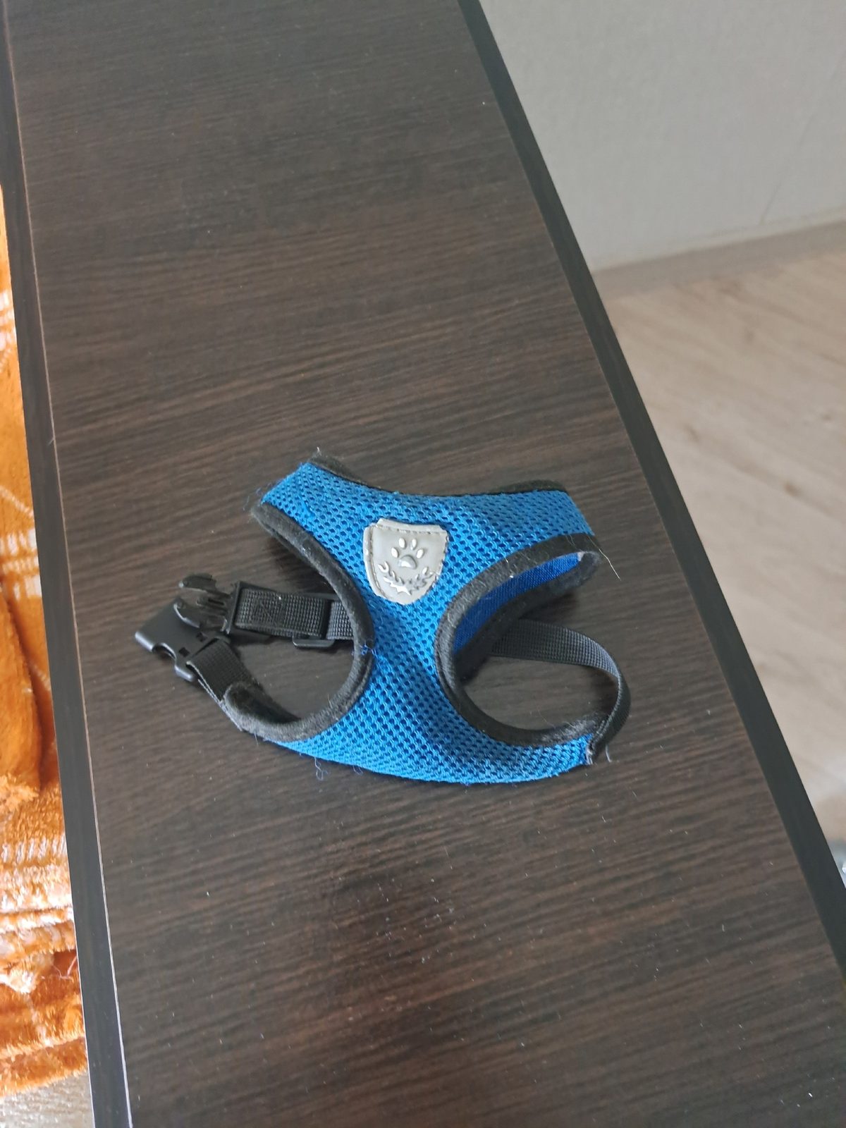 Найдена собака в Минске — https://lost-pet.net/ticket/229164/