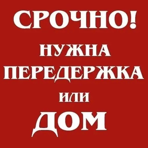 Найдена собака в Солигорске — Уважаемые солигорчане, максимальный репост!🆘