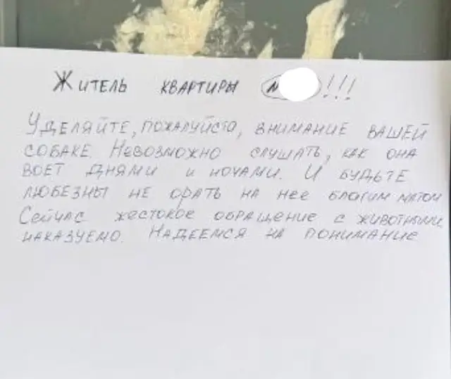 Найдена собака в Солигорске — Собака в опасности!