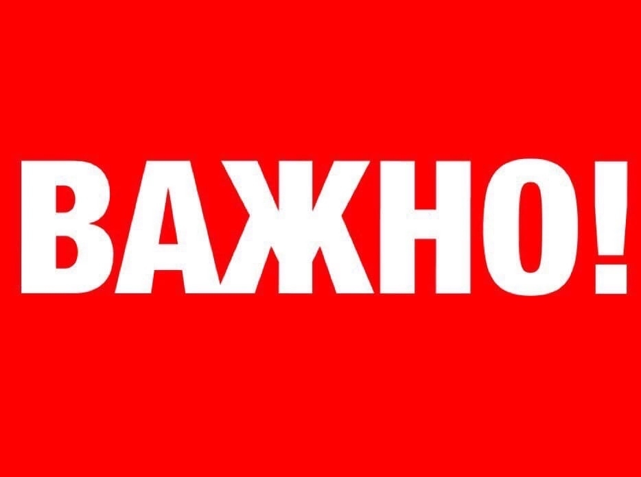 Найдена кошка в Жодине — Жодино! Случайно обнаружен котенок-мальчик с залепленными глазками, лесного окраса. Может, кто-то…