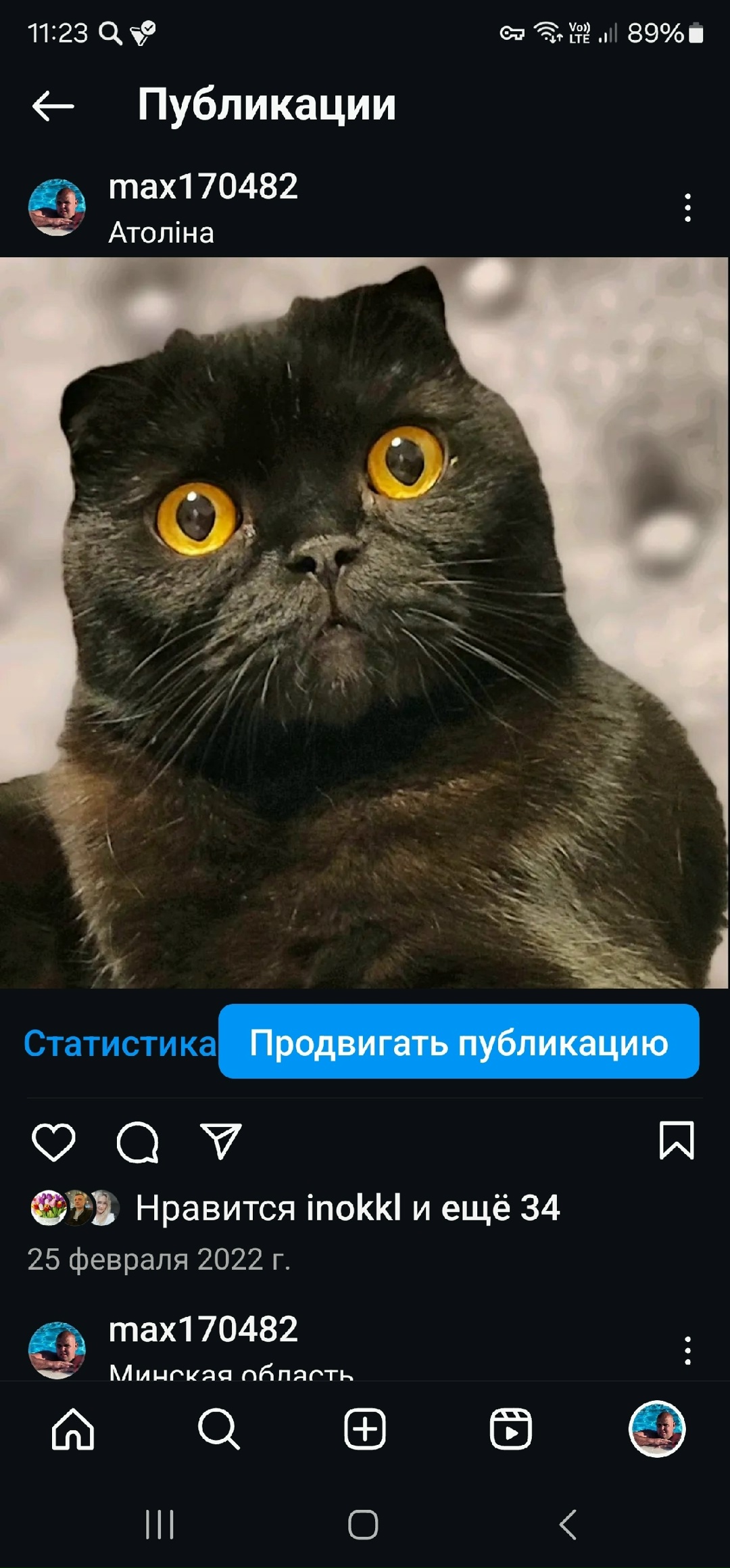 Пропала кошка в Солигорске — Добрый вечер! В деревне Кулаки, потерялся кот! Окрас черный, сам по себе пугливы!!! Он нам очень…