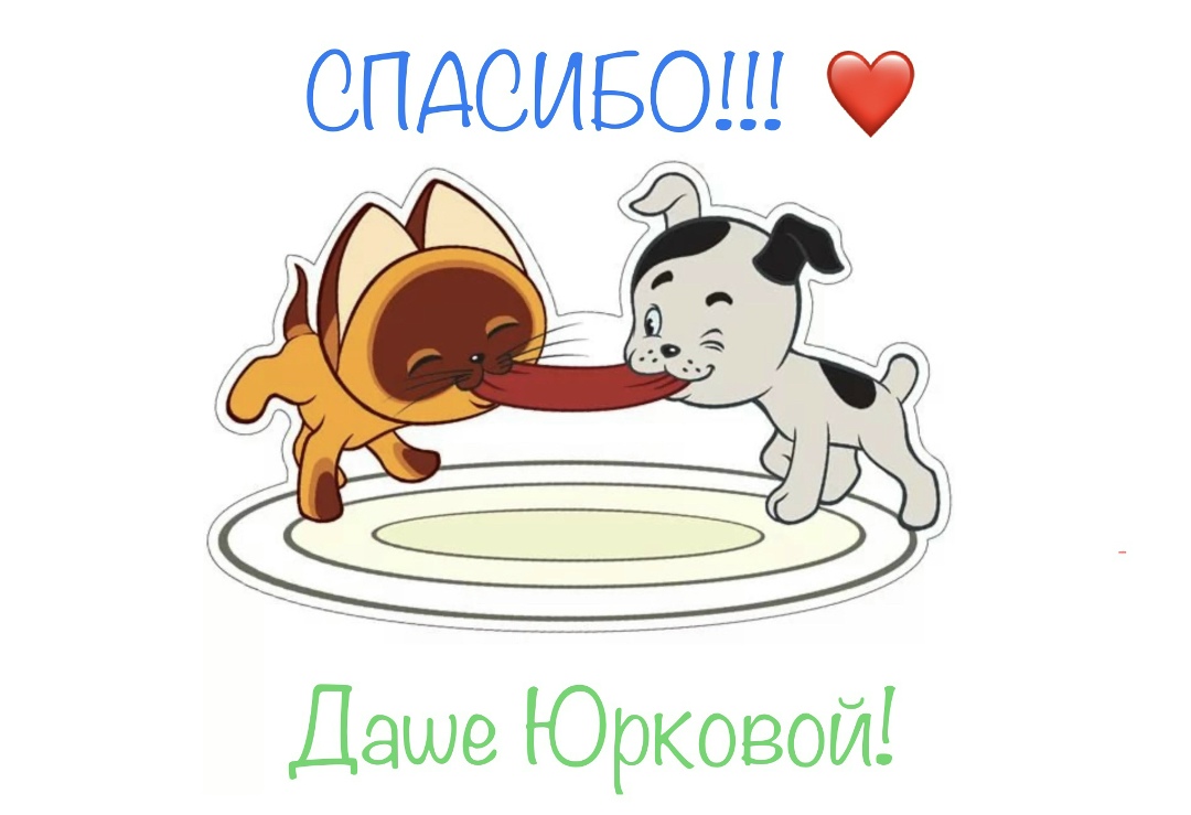 Найдена собака в Бобруйске — Не успели наши подопечные порадоваться подарочкам от Галины 🎁 и Евгении, 🎁 а к нам пришла следом…