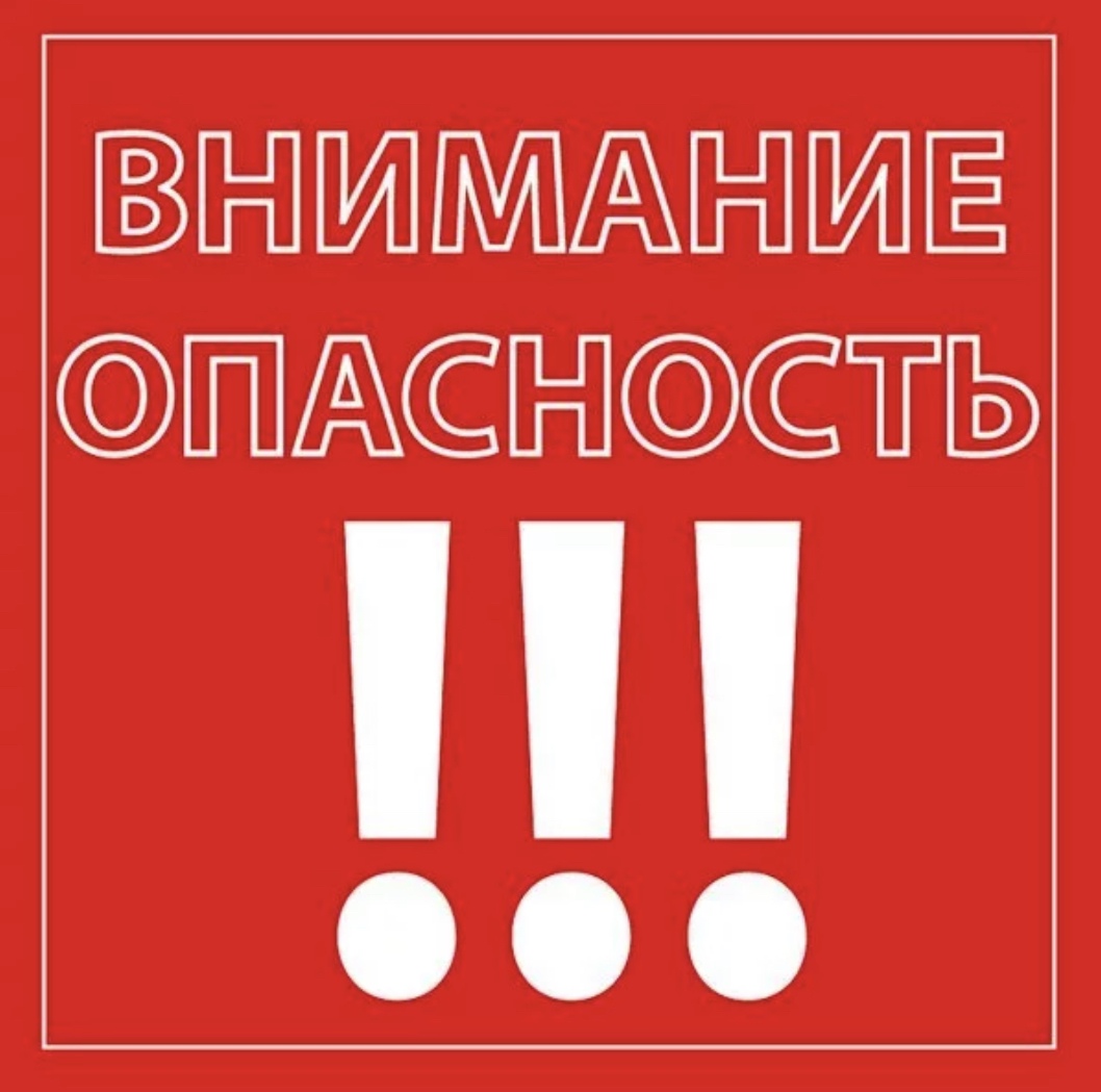 Найдена собака в Бобруйске — Беларусь 🇧🇾 Бобруйск. Доманский район.