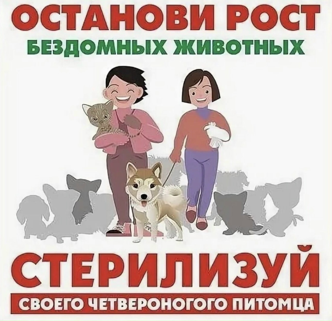 Пропала собака в Бобруйске — МЫ ОЧЕНЬ ХОТИМ, чтобы не было нигде 🗺 🌍 🇧🇾 🇷🇺 🇺🇦 🇲🇩 🇰🇿 🇺🇿 несчастных, голодных, страдающих…