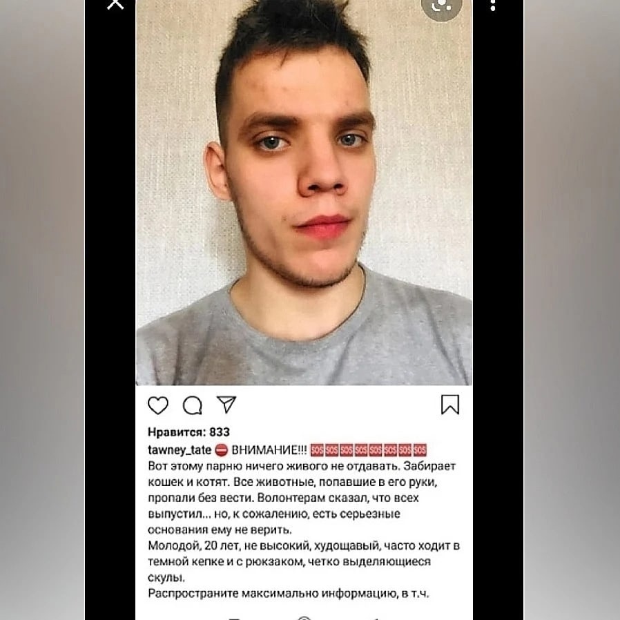Найдена кошка в Бобруйске — СОС! НОВОСТИ ПО СУХАРЕВСКОМУ ЖИВОДЕРУ!