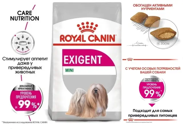 Найденная собака в Несвиже: для маленьких приверед‼️🐕 Найдена собака в Несвиже — для маленьких приверед‼️🐕