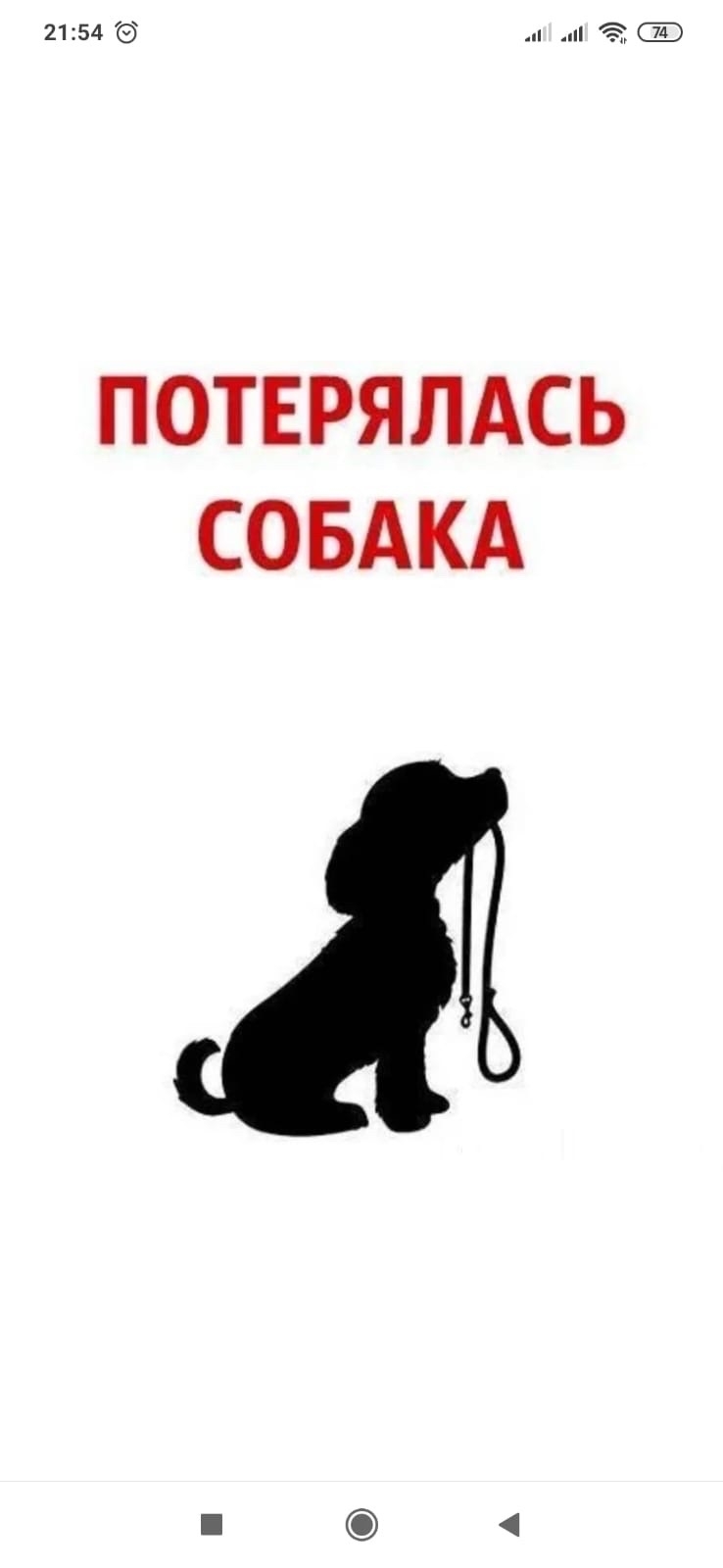 Найдена собака в Горках — фото объявления