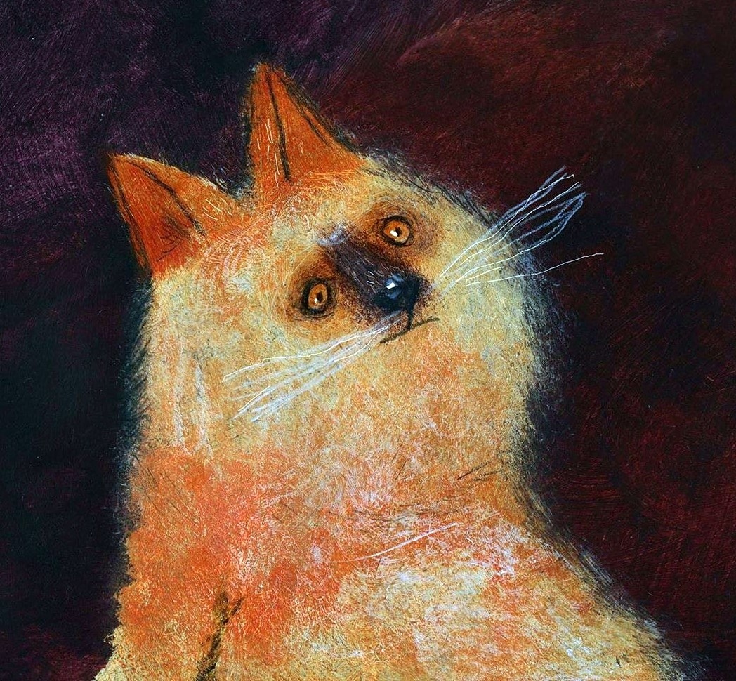 Найдена кошка в Лиде — ДОБРАЯ ИСТОРИЯ ПРО КОТА