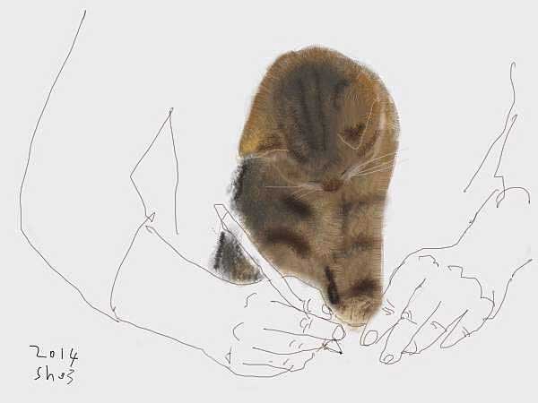 Найдена кошка в Лиде — Жила-была женщина по имени Ирина, которая однажды подобрала кошечку. «Подобрала — пристрою, в первый раз…
