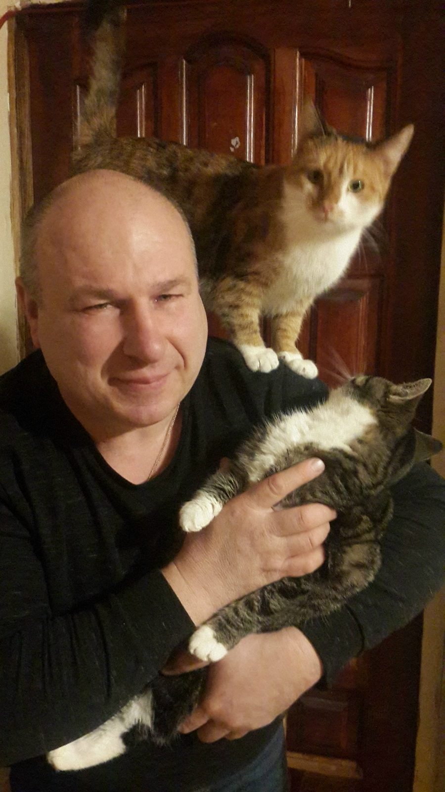 Найдена кошка в Дзержинске — Ура! Папа приехал🐱😍🥰!