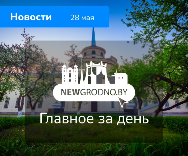 Пропала собака в Барановичах — Будьте в курсе важных событий. Главное к этому часу: