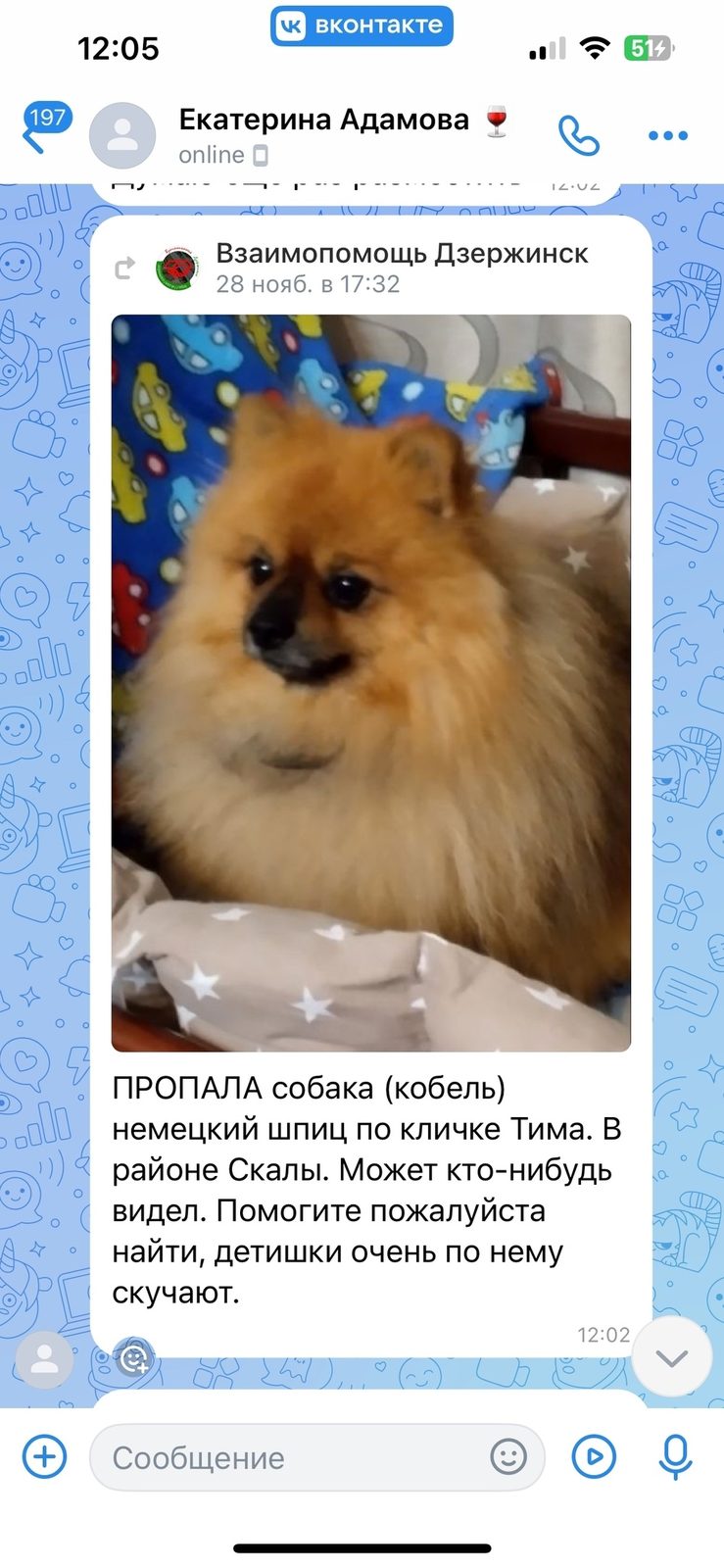 Найдена собака в Дзержинске — Ребят прошу вашей помощи , давайте поможем найти собаку пропала 28 ноября, его очень ждут дома…