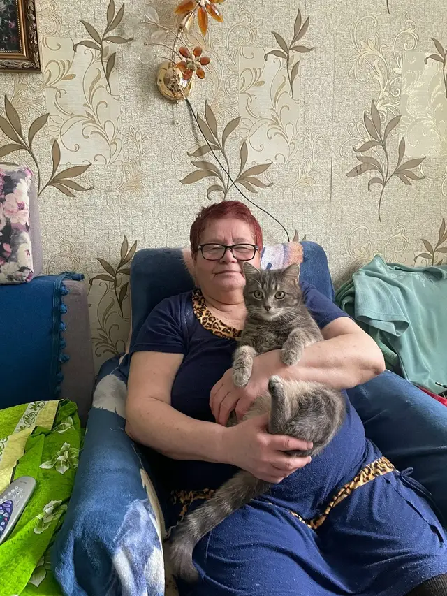 Найдена кошка в Мозыре — фото объявления