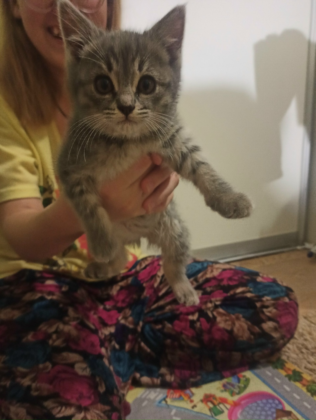 Найдена кошка в Мозыре — Добрый день!