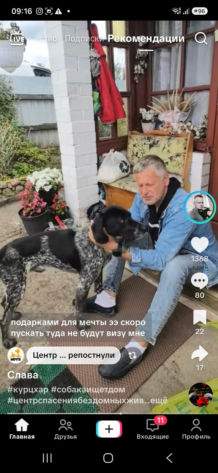 Найдена собака в Молодечно — фото объявления