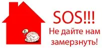 Пропала кошка в Осиповичах — SOS!!!!!! Уникальная семья! Помогите их спасти!