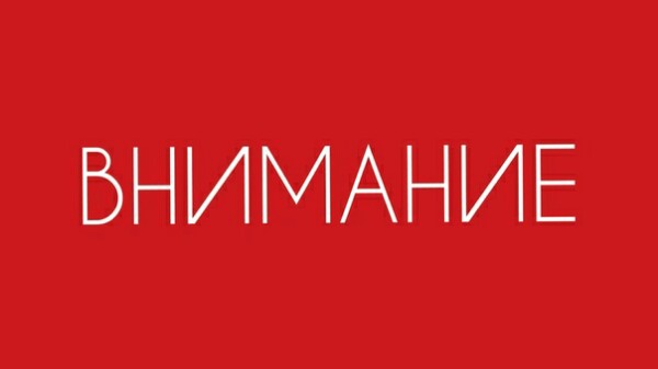 Найдена кошка в Орше — Срочно❗❗❗❗❗6. 05 19 Пропала кошка зовут Мила у неё синие глаза. г. Орша в р-не Флерова может ходить в…