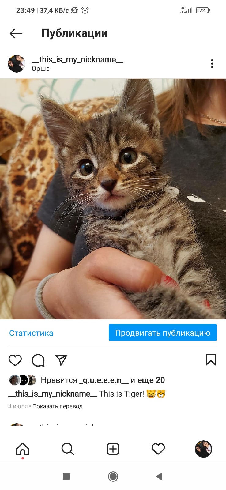Пропала кошка в Орше — Здравствуйте,помогите пожалуйста, потерялся кот,скорее всего выпрыгнул с окна и убежал, он небольшой,3…