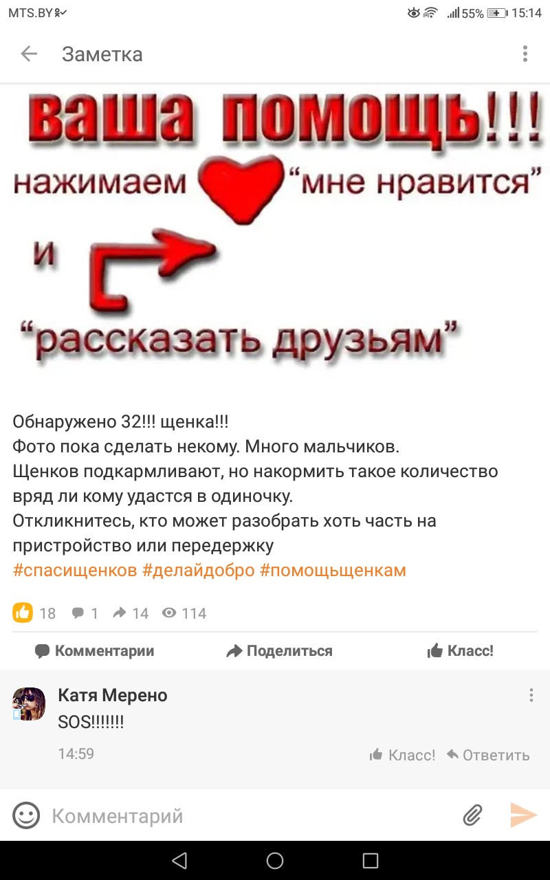 Найдена собака в Жлобине — Могилев, Минск, Беларусь, Россия!