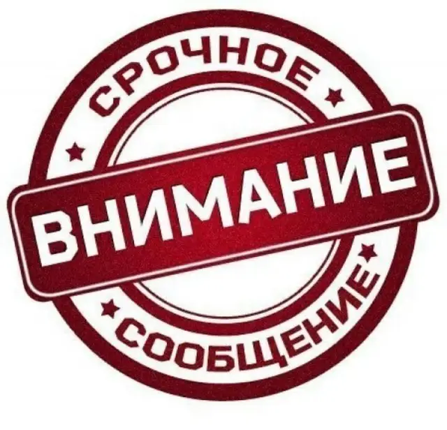 Найдена собака в Бобруйске — Бобруйчане!!!Пропала овчарка!