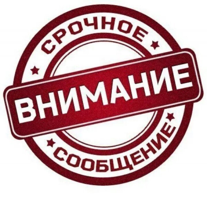 Найдена собака в Бобруйске — Бобруйчане!!!Пропала овчарка!