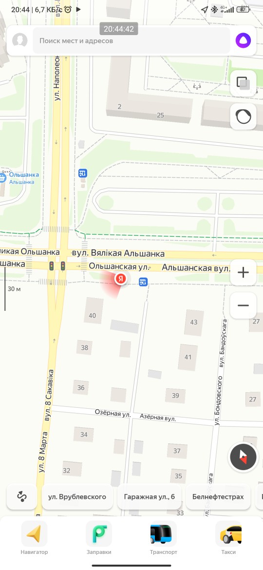Пропала кошка в Гродно — На остановке улица Наполеона орды сидит красивый котик, ухоженный, видно молодой ещё. Возможно…