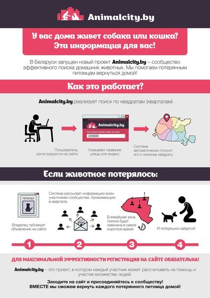 Объявление о питомце в Кобрине — Для всех, у кого есть домашние любимцы, кто нашел или потерял питомца, и для тех, кому нужна…