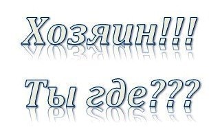 Найдена собака в Кобрине — Кобрин. Поиск старого или нового хозяина! В парке уже долгое время бегает песик серо-черный, похож на…